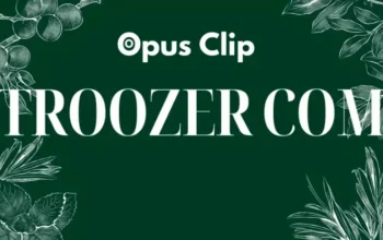 Troozer com